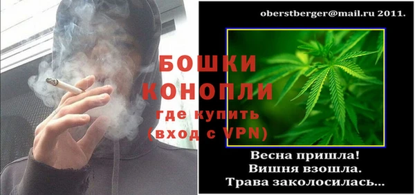 дурь Осташков