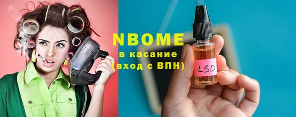 шишки Осинники