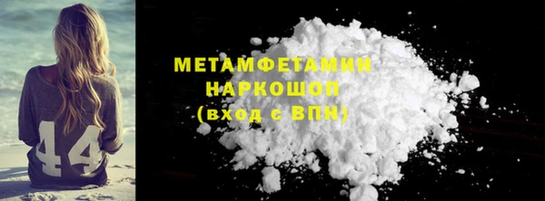 шишки Осинники