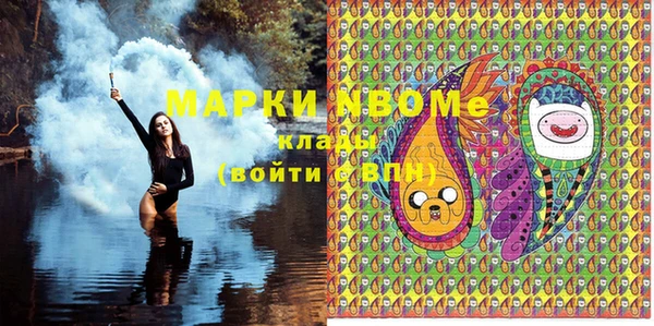 шишки Осинники