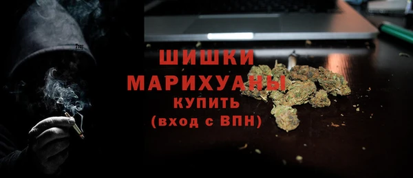 шишки Осинники