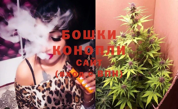 шишки Осинники