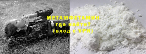 шишки Осинники