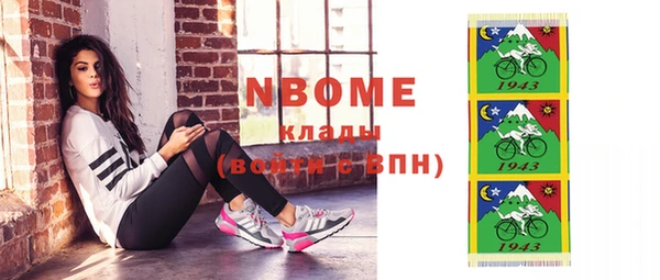 шишки Осинники