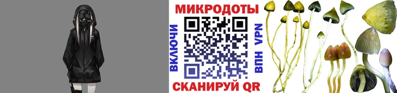 Псилоцибиновые грибы GOLDEN TEACHER наркота Аша