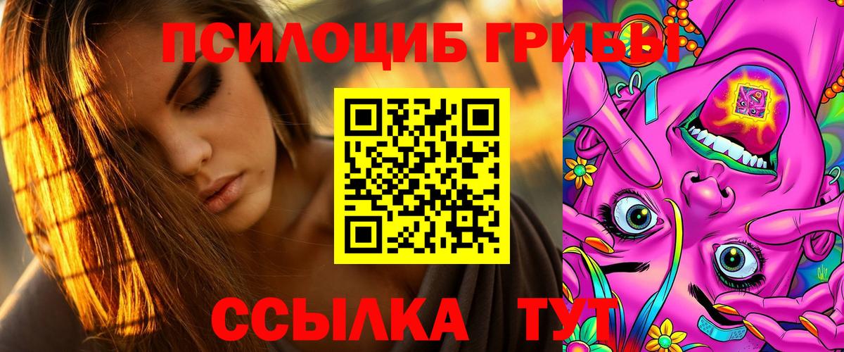 хочу   Аша  Галлюциногенные грибы ЛСД  Псилоцибиновые грибы GOLDEN TEACHER 