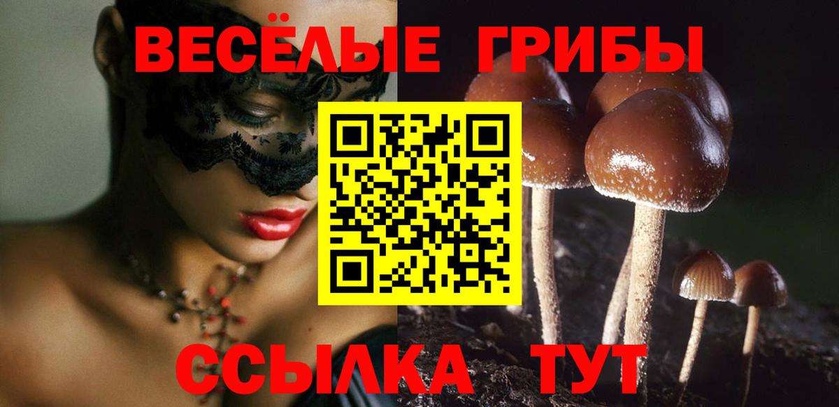 Галлюциногенные грибы прущие грибы Аша